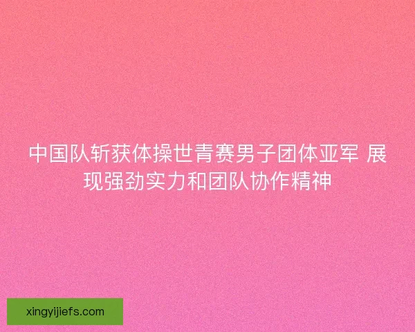 中国队斩获体操世青赛男子团体亚军 展现强劲实力和团队协作精神