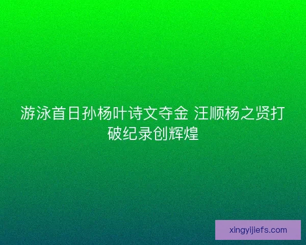 游泳首日孙杨叶诗文夺金 汪顺杨之贤打破纪录创辉煌