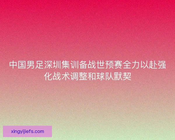 中国男足深圳集训备战世预赛全力以赴强化战术调整和球队默契